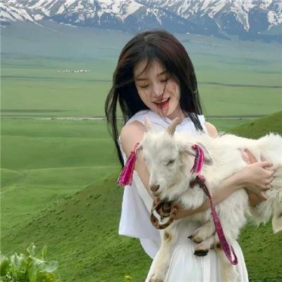 白蛇:情劫